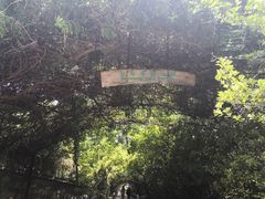 -烟台山景区