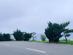 -养马岛旅游度假区