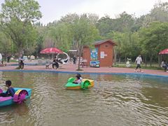 -西部长青自然儿童乐园