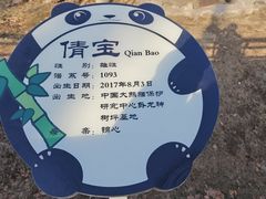 -石家庄市动物园