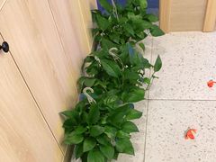-麦悠悠·SPA·推拿(太阳山路店)