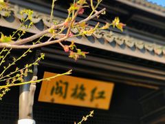 -红梅公园