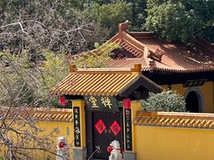 -太子山公园(园东路)