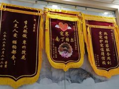 -瑞鹏宠物医院·微创内窥镜·骨外科·牙科(翠竹分院)