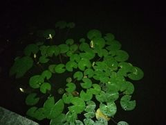 -韩城古城