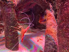 -沈阳海洋探索中心