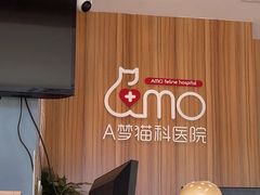 -御宝贝·A梦猫科宠物医院(国际猫友好医院)