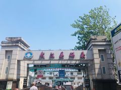 -武汉关码头(轮渡站)