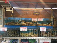 -真浪花园海鲜餐馆