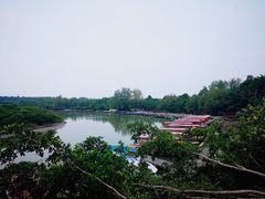 -东寨港红树林旅游区