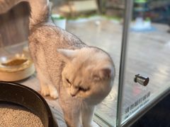 -宠物世家(仲盛世界商城店)