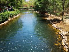 -长白岛森林公园