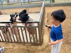 -合肥野生动物园