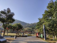 -火炉山森林公园