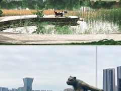-桂溪生态公园