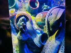 -太平洋海底世界