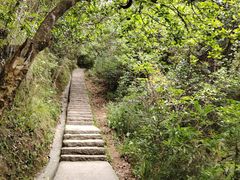 -马峦山郊野公园