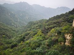 -大岭沟猕猴桃谷风景区