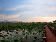 -漩门湾国家湿地公园