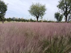 -汉长安城未央宫国家考古遗址公园