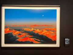 -罗红摄影艺术馆