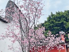 -乌山风景区