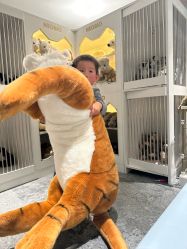 -奈尔宝·儿童乐园·亲子餐厅(华采天地店)