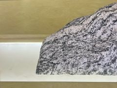 -喜茶(广州保利中环店)