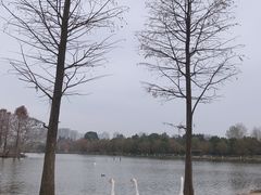 -浙江农林大学(东湖校区)