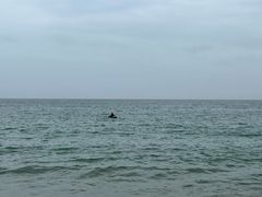 -西涌国际滨海旅游区