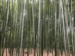 -汇龙潭