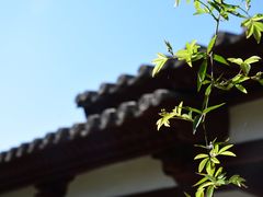 -西安青龙寺遗址景区
