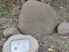 -苏州河梦清园环保主题公园