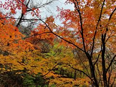 -关门山森林公园