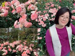 -人民公园(罗湖区)