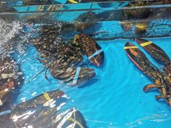-济南海鲜大市场