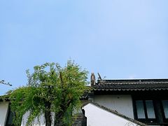 -檀园