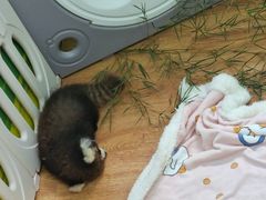 -常州淹城野生动物世界