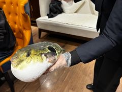 -鲐赏河豚(长寿店)