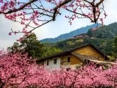 -北京上方山国家森林公园