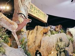 -陕西自然博物馆