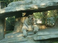 -北京野生动物园