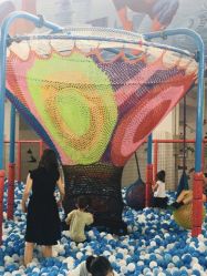 -爱丽丝奇幻乐园