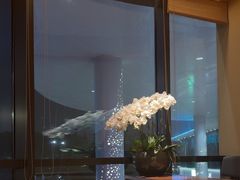 -月龍吟(朝龙汇店)