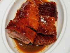 明炉烧鹅-潮江春(阳光店)