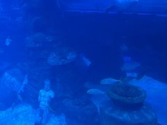 -太平洋海底世界