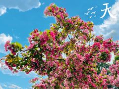 -海棠花溪(元大都城垣遗址公园)