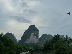 -明仕田园