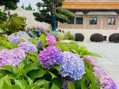 -南京博物院