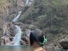 -九龙江国家森林公园